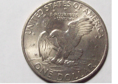 My-Newest-Friendly-Eagle